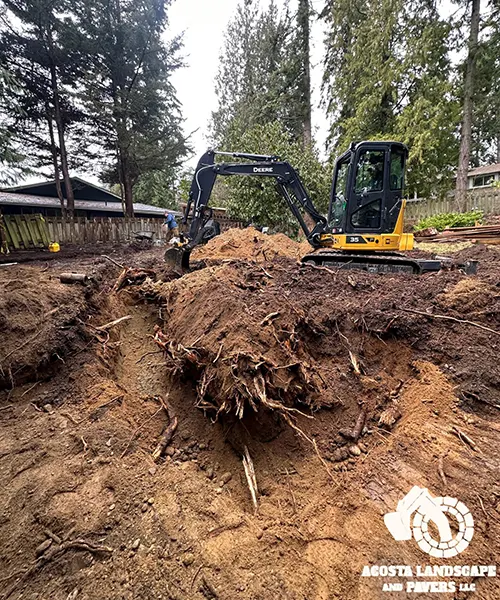 Paver Driveway & Backyard Transformation
